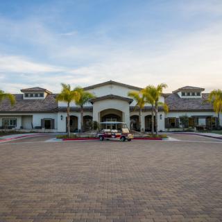 A grand building entrance surrounded by palm trees and a spacious driveway.