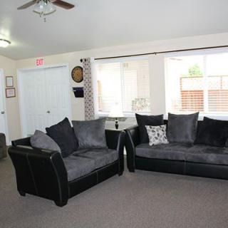 A cozy living room with dark sofas and large windows allowing natural light.