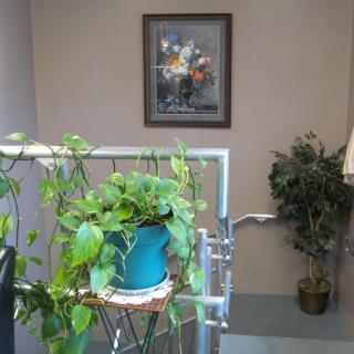 Bowen Tower Senior Independent Living Apts.