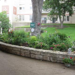 A lush garden with a stone border, filled with various plants and flowers.