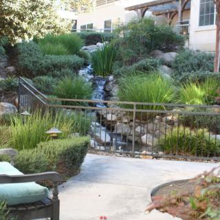 A tranquil garden scene featuring a small waterfall surrounded by lush greenery.