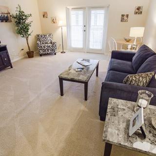 A cozy living room with a sofa, coffee table, and armchair arranged on a carpeted floor, accented by decor items and an indoor plant near the bright French doors.