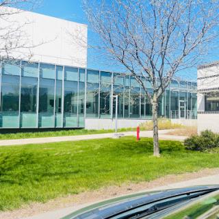 A modern glass building surrounded by green grass and a bare tree under a clear blue sky.