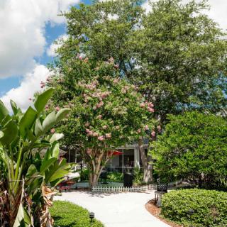 A scenic garden pathway leads to a house surrounded by lush greenery and trees under a clear blue sky.