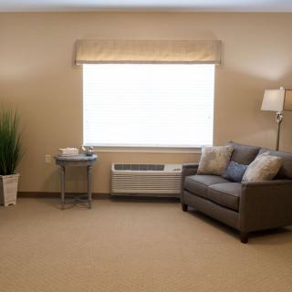 A cozy living room with a sofa, lamp, indoor plant, and an air conditioner under the window.