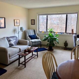 A cozy living room with a sofa, armchair, and coffee table, featuring a large window and indoor plants.