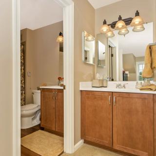 A well-lit bathroom featuring a vanity with a mirror, sink, and wooden cabinetry, adjacent to a toilet.