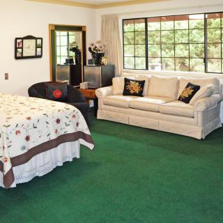 A cozy bedroom with a bed, sofa, and green carpet.