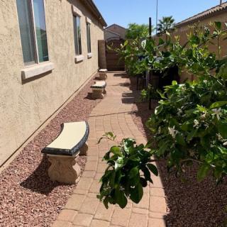 A sunny backyard with a pathway, trees, and benches.