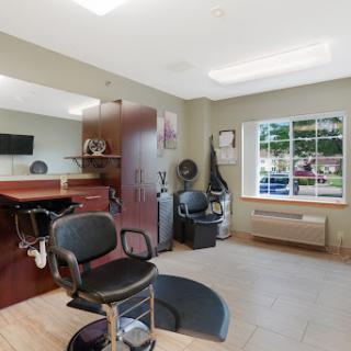 A well-lit and modern salon interior featuring styling chairs and a welcoming atmosphere.
