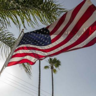 An American flag waves proudly under palm trees against a clear sky.