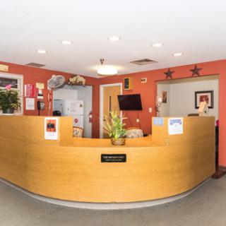 A welcoming reception area featuring a wooden counter and vibrant walls, designed for a comfortable waiting experience.