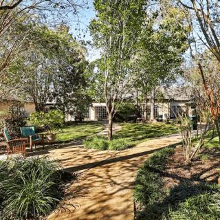 A serene garden with a winding pathway surrounded by lush trees and greenery.