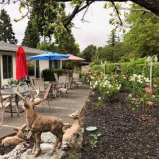 A peaceful garden patio with colorful umbrellas and a deer statue amidst lush greenery.