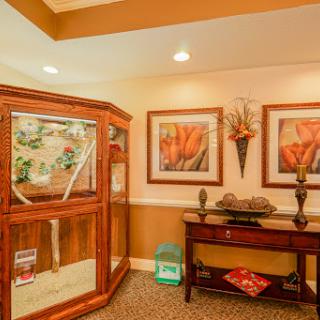 A cozy interior featuring decorative artwork, a display case, and stylish furniture.