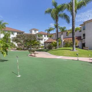A sunny outdoor setting with a putting green, surrounded by palm trees and apartment buildings.