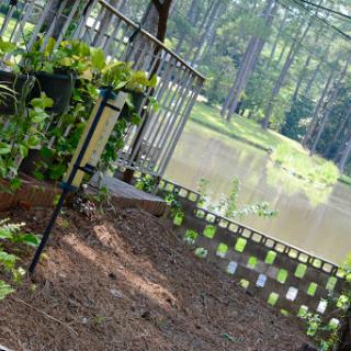 A serene garden view overlooking a calm body of water.