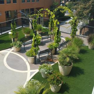 A beautifully landscaped garden with potted plants and decorative pathways.