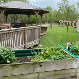 A garden scene with a raised bed full of plants next to a wooden gazebo.