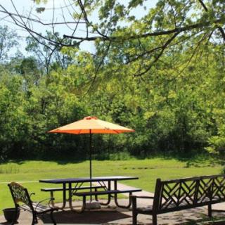 A sunny outdoor picnic area with a vibrant orange umbrella providing shade, surrounded by lush green trees.