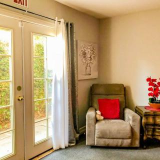 A cozy living room corner featuring an armchair with a red pillow and a side table adorned with a vibrant plant, illuminated by natural light through French doors.