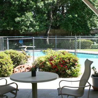 A backyard patio with a table and chairs overlooking a swimming pool surrounded by lush greenery.