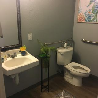 A modern and clean bathroom featuring a sink, toilet, and decorative plant.
