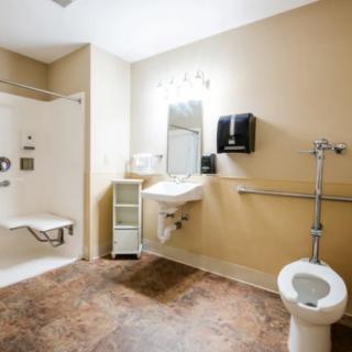 An accessible bathroom with a shower, toilet, sink, and grab bars.