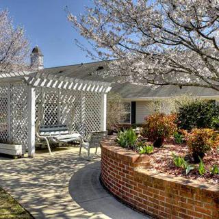 A tranquil garden with a pergola and outdoor seating, surrounded by flowering trees and neatly arranged plants in a brick planter.