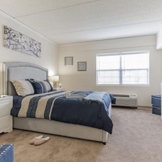 A well-furnished bedroom with a large bed, carpeted floor, and natural light from the window.