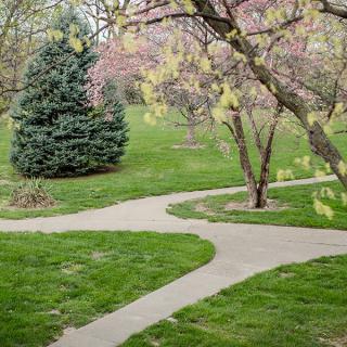 A serene park with winding pathways and lush greenery.