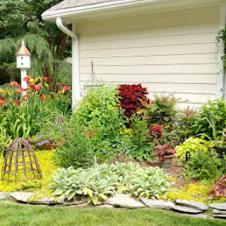 A vibrant garden featuring a variety of flowers and greenery, enhancing the beauty of the outdoor space.