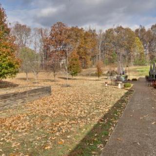 A serene cemetery in autumn with a pathway lined by fallen leaves and surrounded by trees.