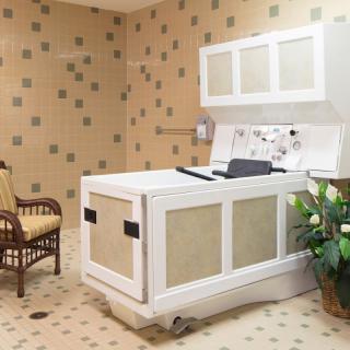A healthcare facility bathroom featuring a specialized bathtub, a wicker chair, and decorative plants.
