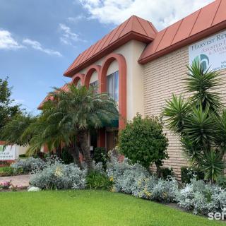 A beautifully landscaped front yard showcasing a house with lush greenery and palm trees.