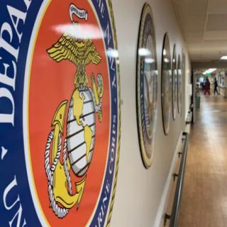 A hallway decorated with military emblems on the walls.