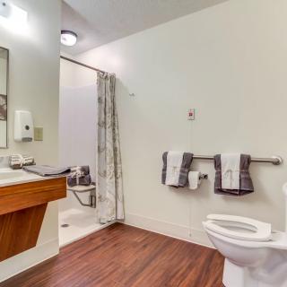 An accessible bathroom with a sink, toilet, shower, and grab bars.