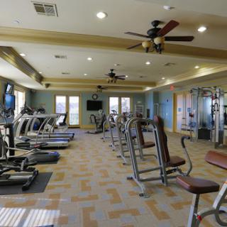 A spacious gym equipped with various exercise machines and a bright, welcoming atmosphere.