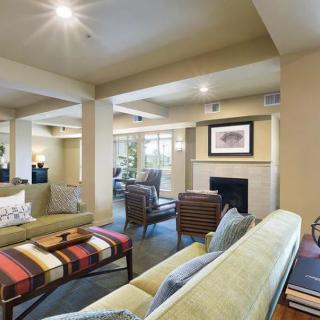 A modern living room with stylish seating and a cozy fireplace.
