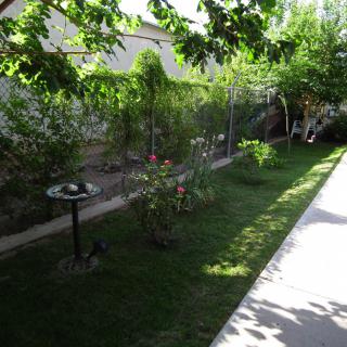 A serene garden scene featuring a lush lawn, various plants, and a birdbath under a sunny sky.