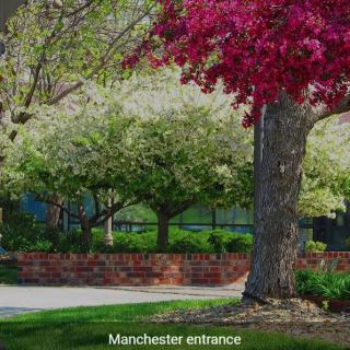 A colorful spring landscape at the Manchester entrance.