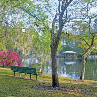 A tranquil park scene with a bench overlooking a lake surrounded by lush trees and blooming flowers.