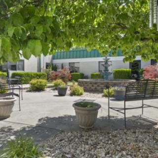 A peaceful garden with benches and lush greenery under a sunny sky.