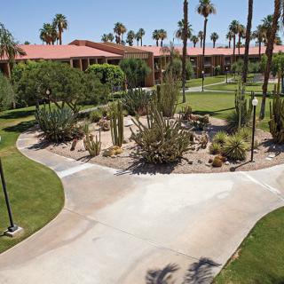 A landscaped garden with a mix of palm trees and cacti, featuring paved pathways under a clear blue sky.