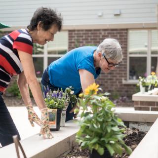 Two women engaged in gardening, tending to plants outdoors.