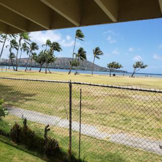 A serene view of the beach with palm trees swaying in the breeze and a chain-link fence marking the boundary.