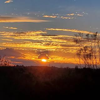 A beautiful sunset with vibrant clouds and silhouetted trees.