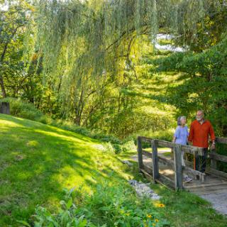 A couple enjoys a peaceful walk in a lush green park with their dog, crossing a small wooden bridge.