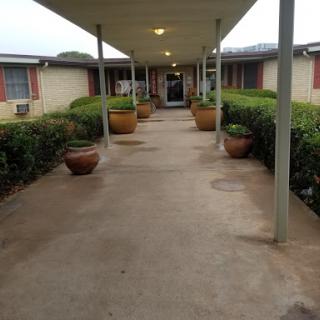 A quiet pathway leading to the entrance of a building, lined with potted plants.