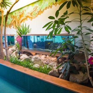 An indoor garden with lush greenery and a decorative backdrop.
